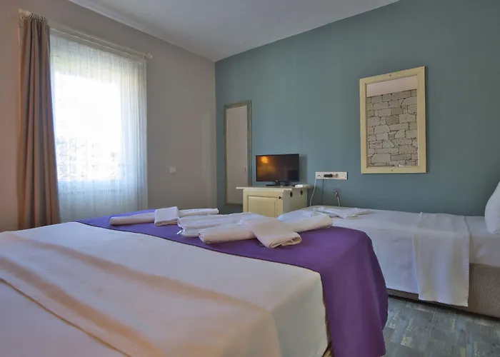 Ionic 2* 阿拉恰特